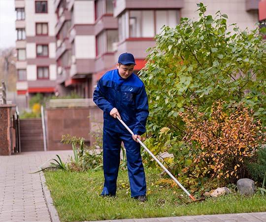 Уборка территории в Архангельске и  Архангельской области
